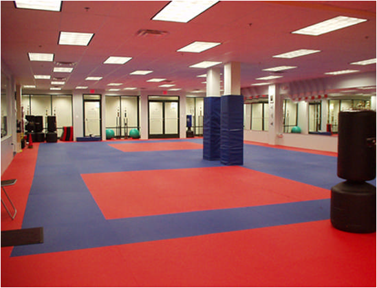 Martial Arts Flooring