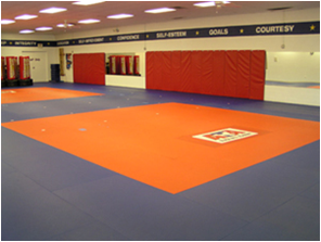Martial Arts Flooring Applications